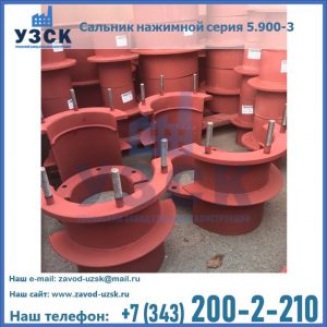 Сальники нажимные серия 5.900-3 в Брянске